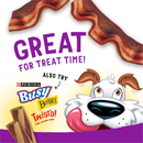 Purina Beggin’ Thick Cut Hickory Smoke Flavor Dog Treats - Dog Treats 11