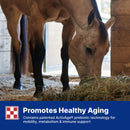 Purina Equine Senior Active Horse Feed 50-lb - Horse Feed & Treats 9
