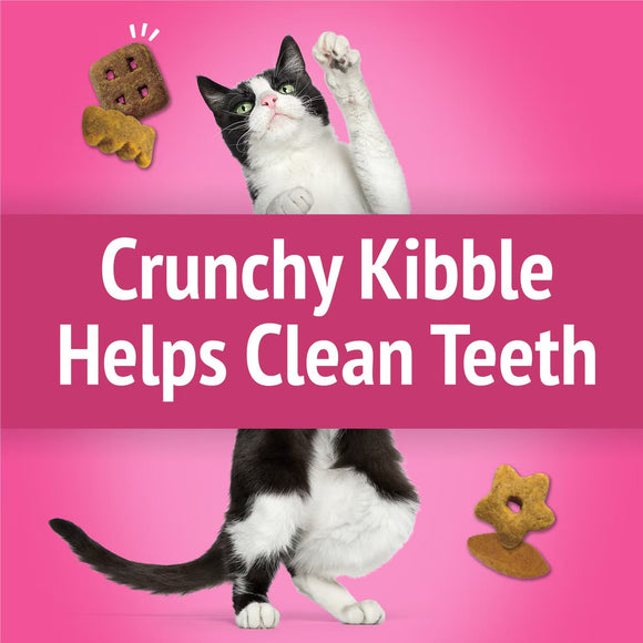 Purina Friskies Party Mix California Crunch Flavor Crunchy Cat Treats - Cat Treats 6