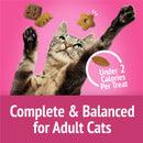Purina Friskies Party Mix California Crunch Flavor Crunchy Cat Treats - Cat Treats 8