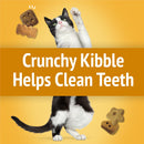 Purina Friskies Party Mix Cheezy Craze Crunch Flavor Crunchy Cat Treats - Cat Treats 7