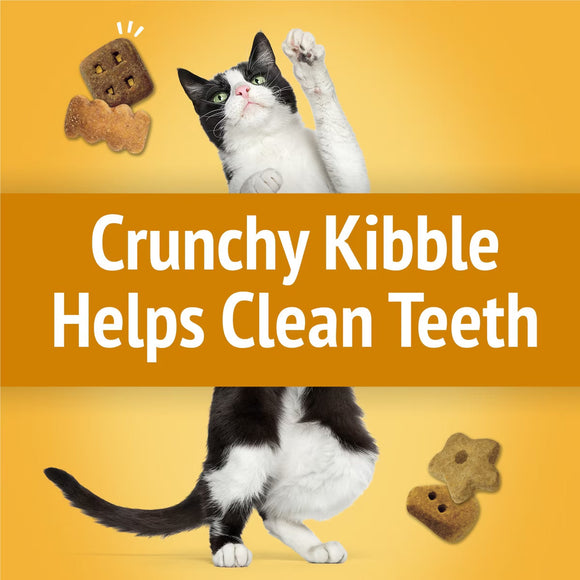 Purina Friskies Party Mix Cheezy Craze Crunch Flavor Crunchy Cat Treats - Cat Treats 7