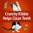 Purina Friskies Party Mix Gravy-licious Chicken & Gravy Flavors Crunchy Cat Treats - Cat Treats 5