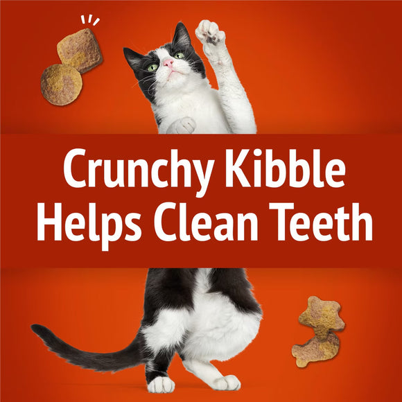 Purina Friskies Party Mix Gravy-licious Chicken & Gravy Flavors Crunchy Cat Treats - Cat Treats 5