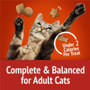 Purina Friskies Party Mix Gravy-licious Chicken & Gravy Flavors Crunchy Cat Treats - Cat Treats 7