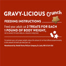 Purina Friskies Party Mix Gravy-licious Chicken & Gravy Flavors Crunchy Cat Treats - Cat Treats 9