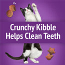 Purina Friskies Party Mix Gravy-licious Turkey & Gravy Flavors Crunchy Cat Treats - Cat Treats 5