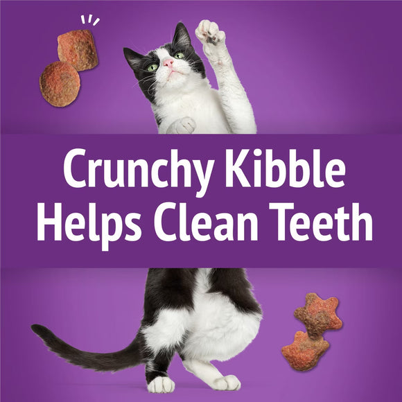 Purina Friskies Party Mix Gravy-licious Turkey & Gravy Flavors Crunchy Cat Treats - Cat Treats 5