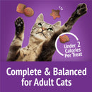 Purina Friskies Party Mix Gravy-licious Turkey & Gravy Flavors Crunchy Cat Treats - Cat Treats 7