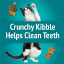 Purina Friskies Party Mix Meow Luau Crunch Flavor Crunchy Cat Treats - Cat Treats 5