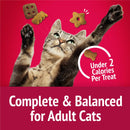 Purina Friskies Party Mix Mixed Grill Crunch Flavor Crunchy Cat Treats - Cat Treats 7