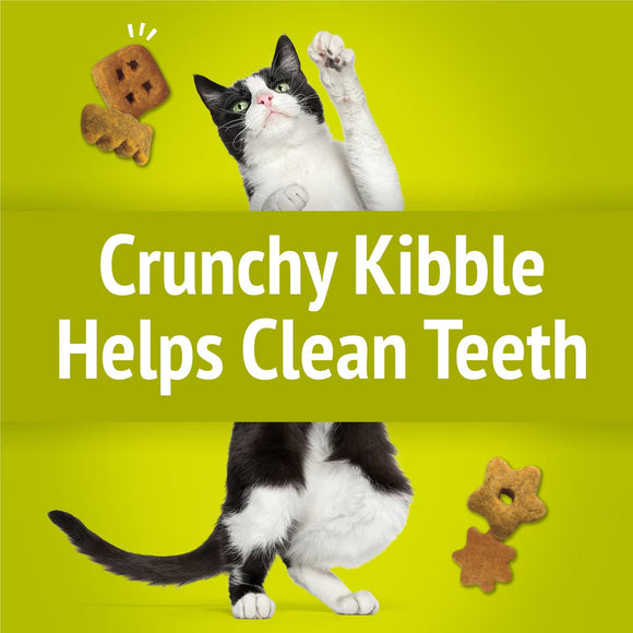 Purina Friskies Party Mix Morning Munch Crunch Flavor Crunchy Cat Treats - Cat Treats 5