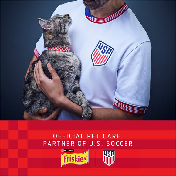 Purina Friskies Party Mix Natural Yums Complete & Balanced Salmon Crunchy Natural Cat Treats - Cat Treats 2