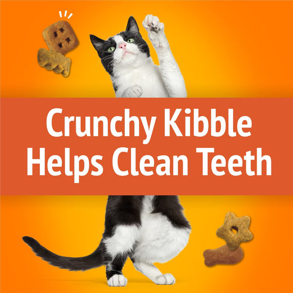 Purina Friskies Party Mix Original Crunch Flavor Crunchy Cat Treats - Cat Treats 7