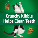 Purina Friskies Party Mix Picnic Crunch Flavor Crunchy Cat Treats 6-oz - Cat Treats 5