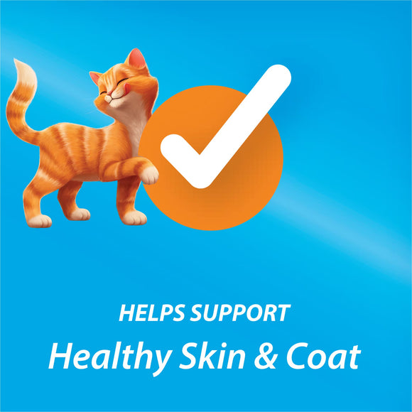 Purina Kit & Kaboodle Dry Cat Food - Cat Food 2