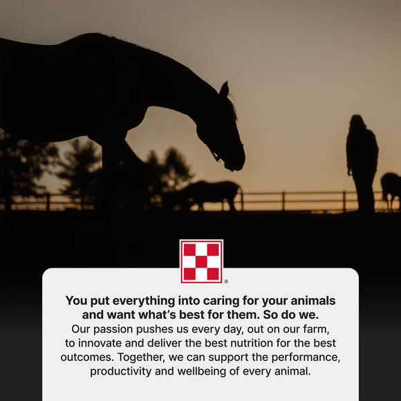 Purina Omolene 100 Active Pleasure Horse Feed 50-lb - Horse Feed & Treats 9