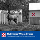 Purina Omolene 100 Active Pleasure Horse Feed 50-lb - Horse Feed & Treats 6