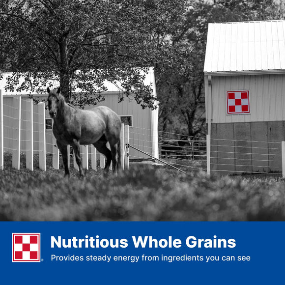 Purina Omolene 100 Active Pleasure Horse Feed 50-lb - Horse Feed & Treats 6