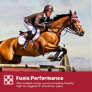 Purina Omolene 200 Performance Horse Feed 50-lb - Horse Feed & Treats 7
