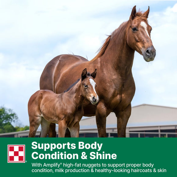 Purina Omolene 300 Mare & Foal Horse Feed 50-lb - Horse Feed & Treats 8