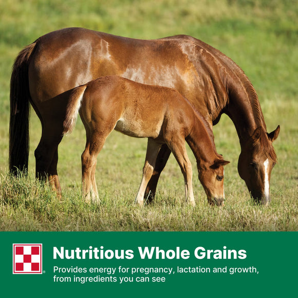 Purina Omolene 300 Mare & Foal Horse Feed 50-lb - Horse Feed & Treats 6