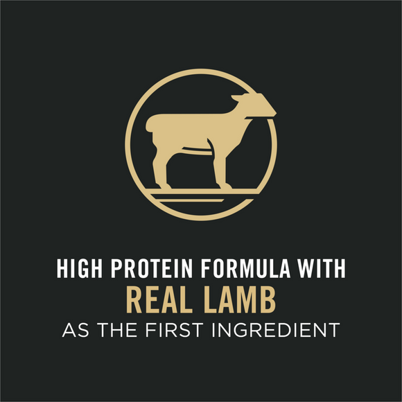 Purina Pro Plan Focus Adult Sensitive Skin & Stomach Lamb & Rice Formula Dry Cat Food