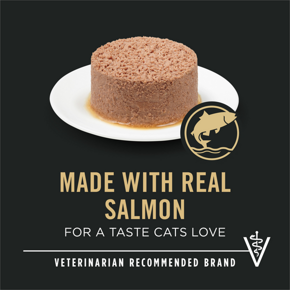 Purina Pro Plan Focus Urinary Tract Health Salmon Recipe Canned Cat Food