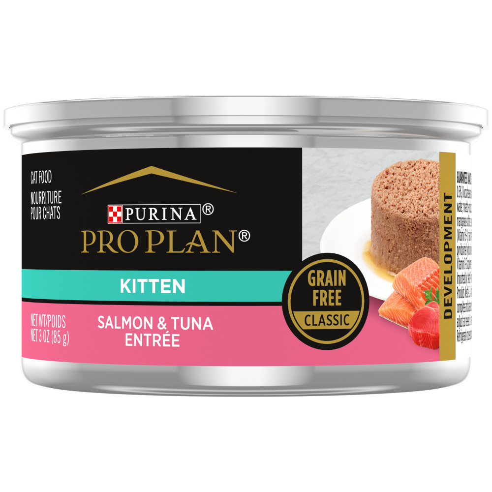 Kitten Food: Best Wet & Dry Food for Kittens & Young Cats | HardyPaw