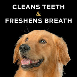 Cleaner Teeth and Fresh Breath with Purina Pro Plan Dental Chewz Dog Treats