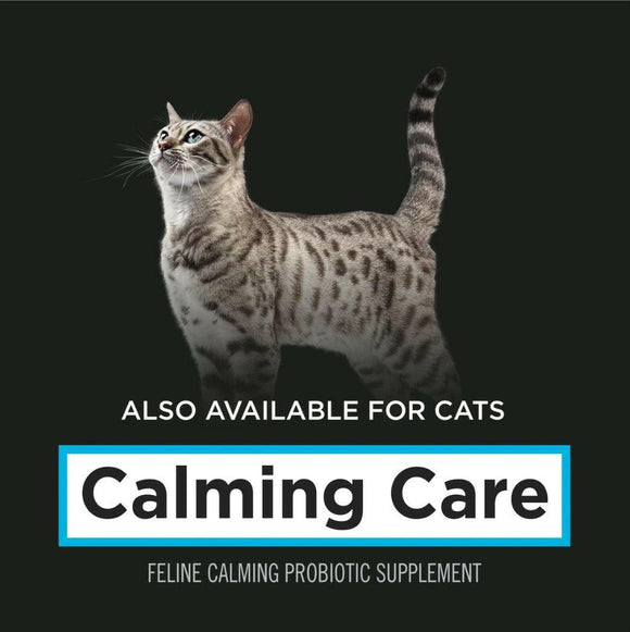 Purina Pro Plan Veterinary Supplements Calming Care Probiotic Powder Supplement for Cats