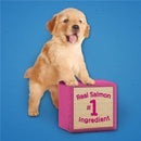 Purina Puppy Chow Training Treats Real Salmon Flavor 7-oz - Dog Treats 4