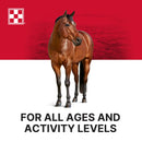 Purina Stratefy Professional Formula GX Horse Feed 50-lb - Horse Feed & Treats 5