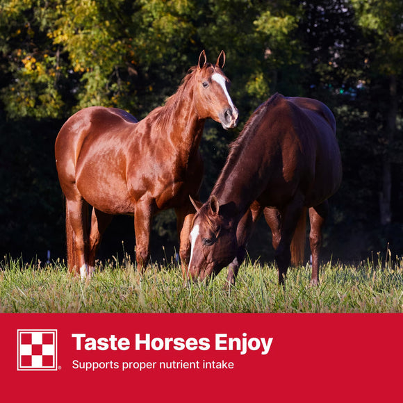 Purina Stratefy Professional Formula GX Horse Feed 50-lb - Horse Feed & Treats 7