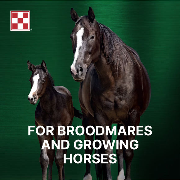 Purina Ultium Growth Horse Feed 50-lb - Horse Feed & Treats 5
