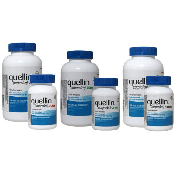 Quellin (Carprofen) Soft Chews for Dogs - Pet Medicine 1