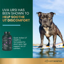 Quick Action UT Health Tablet for Dogs