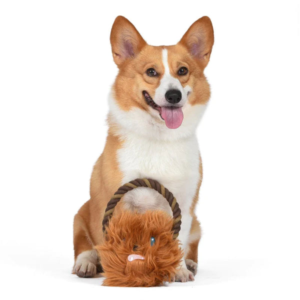 Star Wars: Chewbacca Rope Head Plush Dog Toy