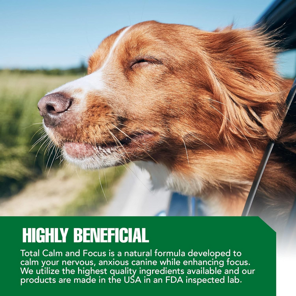 Ramard Total Calm & Focus Supplement for Dogs (45 Soft Chews) - Dog Calming & Anxiety Supplements 6