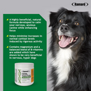 Ramard Total Calm & Focus Supplement for Dogs (45 Soft Chews) - Dog Calming & Anxiety Supplements 3