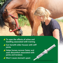 Ramard Total Equine Relief Paste (15 cc) - Horse Vitamins & Supplements 3