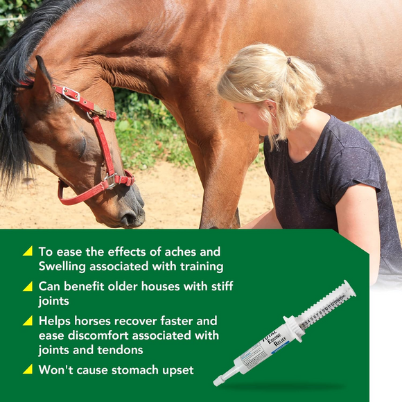 Ramard Total Equine Relief Paste (15 cc) - Horse Vitamins & Supplements 3