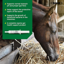Ramard Total Gut Health Supplement Paste For Horse (30 cc) - Horse Vitamins & Supplements 3