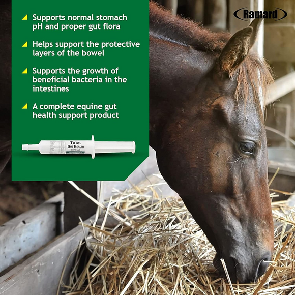 Ramard Total Gut Health Supplement Paste For Horse (30 cc) - Horse Vitamins & Supplements 3