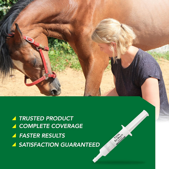 Ramard Total Gut Health Supplement Paste For Horse (30 cc) - Horse Vitamins & Supplements 4