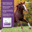 Ramard Total Lactic Care Horse Supplement (25g) - Horse Vitamins & Supplements 5