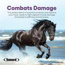 Ramard Total Lactic Care Horse Supplement (25g) - Horse Vitamins & Supplements 2