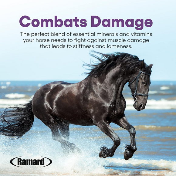 Ramard Total Lactic Care Horse Supplement (25g) - Horse Vitamins & Supplements 2