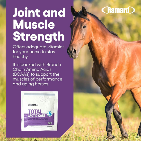 Ramard Total Lactic Care Horse Supplement (25g) - Horse Vitamins & Supplements 3