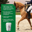 Ramard Total Tendon Repair Powder Horse Supplement (1.12 lb 30 Day Supply) - Horse Vitamins & Supplements 2